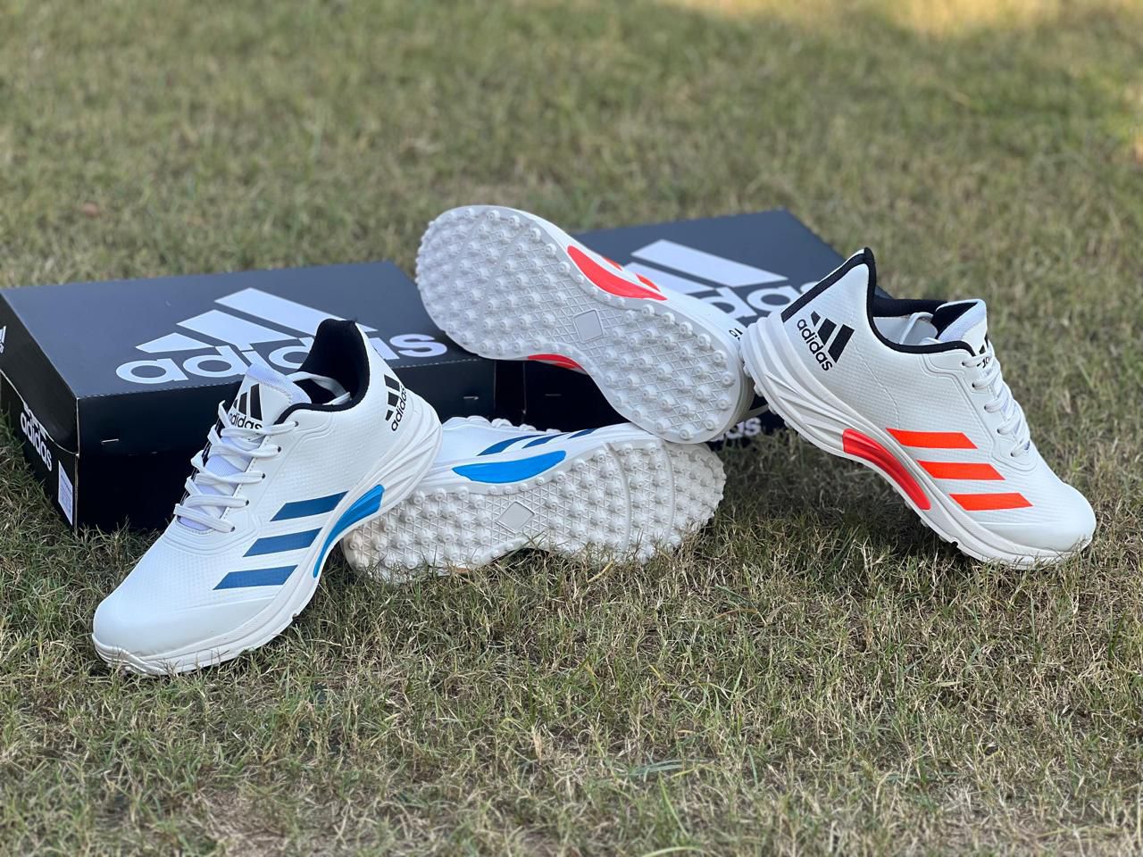 Imported Shoes